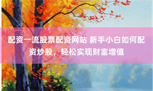 配资一流股票配资网站 新手小白如何配资炒股，轻松实现财富增值